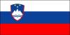 Slovenian flag