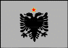 Albania flag