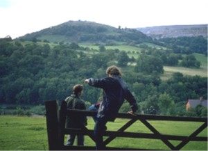 Dinas Bran
