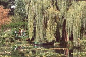 Water Garden